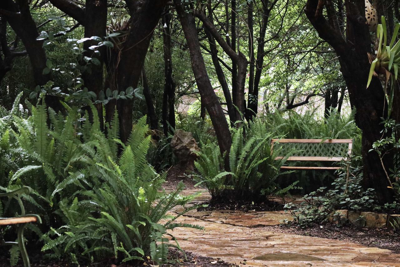 Hotel Bosques Del Sol Suites San Cristóbal de Las Casas Kültér fotó